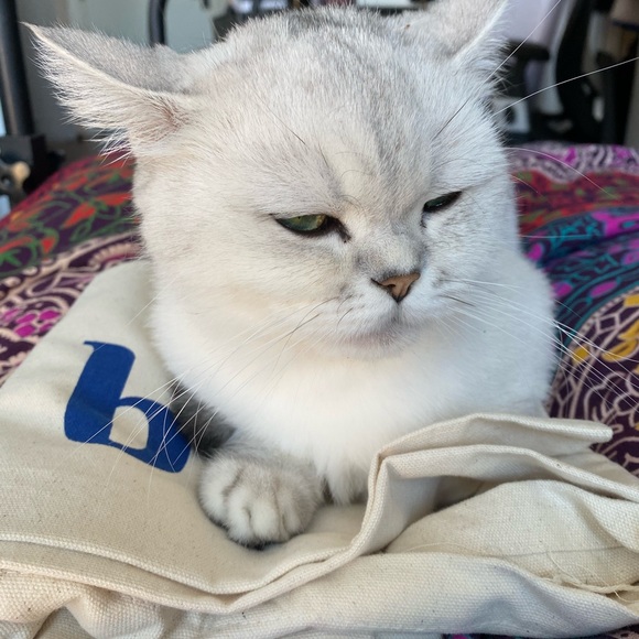 Meet your Posher, Yuan - Picture 1 of 1